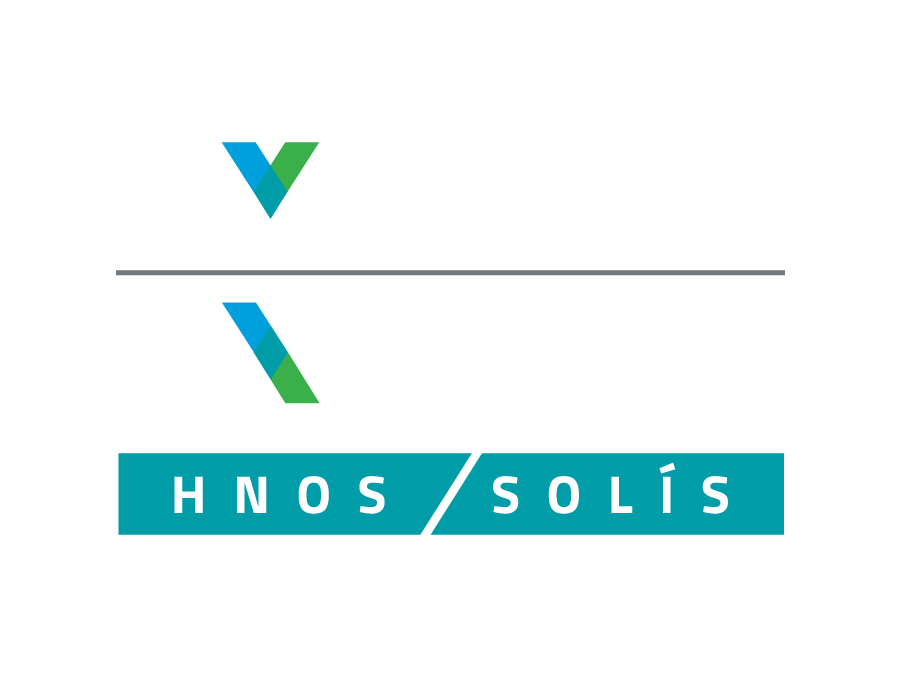 Logotipo Import & Export | Hnos. Solís